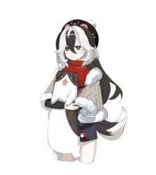 Rule 34 | 1girl, animal ears, beret, black eyes, black hair, black hat, blue skirt, blush, bright pupils, brown jacket, closed mouth, coralie (honkai impact), cowboy shot, cropped jacket, cropped legs, dog ears, dog girl, dog tail, expressionless, fur-trimmed jacket, fur-trimmed sleeves, fur trim, hair between eyes, hat, highres, holding, holding stuffed toy, honkai (series), honkai impact 3rd, jacket, long hair, long sleeves, longcat (meme), meme, miniskirt, multicolored hair, open clothes, open jacket, paw print, pom pom (clothes), red sweater, sho 2nini, sidelocks, simple background, skirt, solo, stuffed animal, stuffed dog, stuffed toy, sweater, tail, turtleneck, turtleneck sweater, two-tone hair, white background, white hair, white pupils