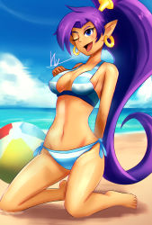 Rule 34 | 1girl, ball, beach, beachball, bikini, blue eyes, breasts, cleavage, feet, hand on own chest, highres, kneeling, large breasts, legs, navel, ocean, one eye closed, open mouth, pointy ears, ponytail, purple hair, shantae, shantae (series), smile, solo, sweat, swimsuit, thighs, water