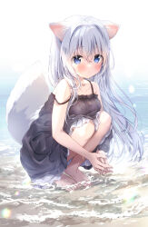 Rule 34 | 1girl, amedamacon, animal ear fluff, animal ears, bare arms, bare shoulders, barefoot, black dress, blue eyes, blush, closed mouth, collarbone, commentary request, dress, full body, grey hair, hair between eyes, knees up, long hair, looking at viewer, original, shallow water, sleeveless, sleeveless dress, solo, squatting, strap slip, tail, very long hair, water