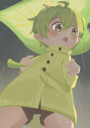 Rule 34 | 1boy, absurdres, bar censor, censored, child, crown, from below, green eyes, green hair, highres, leaf umbrella, male focus, mini crown, nipples, nude, omurice (roza4957), open mouth, original, pointy ears, rain, raincoat, short hair, shorts, solo, wet