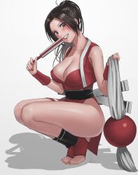 Rule 34 | 1girl, absurdres, brown eyes, brown hair, commentary request, fatal fury, full body, hand fan, high ponytail, highres, holding, holding fan, japanese clothes, looking at viewer, murasaki-sin, shiranui mai, smile, solo, squatting, the king of fighters, thighs