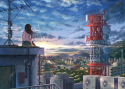 Rule 34 | 1girl, bird, cloud, cloudy sky, commentary, evening, flock, from behind, green skirt, highres, hill, horizon, k ryo, landscape, long hair, on roof, original, outdoors, pink shirt, radio antenna, radio tower, scenery, shirt, short sleeves, sitting, skirt, sky, solo, sunset, town