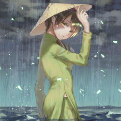 Rule 34 | 1girl, arm at side, axis powers hetalia, brown hair, closed mouth, cowboy shot, from side, hair over shoulder, hand up, hat, hatake hukuro, horizon, long hair, long sleeves, looking at viewer, looking to the side, overcast, pants, ponytail, rain, rice hat, side slit, sky, solo, vietnam (hetalia), vietnamese dress, wading, water, wet, wet clothes, yellow eyes