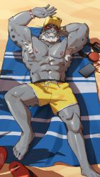 Rule 34 | 0rang3, 1boy, abs, absurdres, alternate costume, arm behind head, armpit hair, armpits, bara, bare pectorals, beach, beard, boku no hero academia, colored skin, contemporary, facial hair, fins, fish boy, full body, furry, furry male, goggles, goggles on head, grey skin, highres, lying, male focus, male swimwear, mature male, muscular, muscular male, navel, navel hair, nipples, on back, one eye closed, pectorals, sand, selkie (boku no hero academia), solo, sparkle, stomach, swim briefs, thick thighs, thighs, whiskers, yellow male swimwear