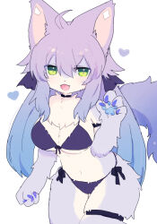 Rule 34 | 1girl, :d, animal ears, bikini, blue hair, body fur, breasts, fangs, furry, furry female, gradient hair, green eyes, large breasts, long hair, multicolored hair, open mouth, original, pemi (spommmm), pink hair, smile, solo, swimsuit, tail, white background