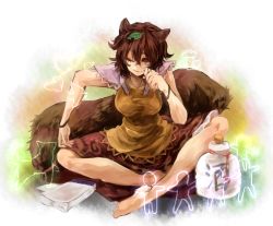 Rule 34 | 1girl, animal ears, barefoot, bird, bird print, bracelet, brown hair, dog, fang, frog, futatsuiwa mamizou, glasses, gourd, highres, hiso (inoino 4), indian style, jewelry, leaf, leaf on head, notepad, object on head, one eye closed, pince-nez, raccoon ears, raccoon tail, red eyes, rino (inoino 4), sitting, tail, touhou, wink