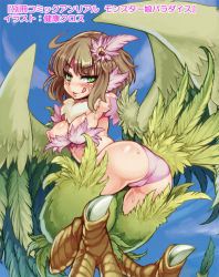 Rule 34 | 1girl, ass, blush, breasts, brown hair, feathers, foreshortening, green eyes, hair ornament, harpy, kenkou cross, licking lips, looking at viewer, looking back, monster girl, nipples, solo, sweat, tongue, tongue out, translation request