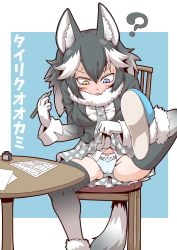 Rule 34 | 10s, 1girl, ?, animal ears, black hair, black thighhighs, blazer, blue eyes, blush, chair, character name, clothes lift, fur collar, fur trim, grey wolf (kemono friends), hands up, heterochromia, holding, holding pencil, ink bottle, jacket, kemono friends, leg up, lifted by self, long hair, long sleeves, looking down, multicolored hair, necktie, panties, parted lips, pencil, plaid, plaid neckwear, plaid skirt, sitting, skirt, skirt lift, spread legs, sweat, table, tail, thighhighs, translation request, two-tone hair, underwear, white hair, wolf ears, wolf tail, yellow eyes, zannen na hito