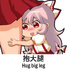 Rule 34 | 2girls, :d, bilingual, blush, bow, chibi, chinese commentary, chinese text, commentary request, english text, fujiwara no mokou, hair between eyes, hair bow, height difference, hug, hugging another&#039;s leg, jokanhiyou, long hair, lowres, meme, mixed-language text, multiple girls, open mouth, red eyes, red skirt, shirt, short sleeves, silver hair, skirt, smile, suspenders, thighs, touhou, translation request, white shirt