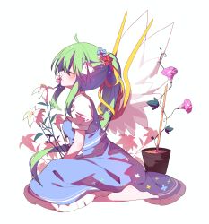 Rule 34 | 1girl, ahoge, barefoot, bing zizi, blue skirt, blue vest, blush, closed eyes, closed mouth, daiyousei, fairy wings, flower, flower in mouth, flower pot, from side, full body, green hair, hair between eyes, hair flower, hair ornament, hair ribbon, half updo, highres, lily (flower), long hair, morning glory, ponytail, profile, puffy short sleeves, puffy sleeves, ribbon, shirt, short sleeves, sidelocks, simple background, sitting, skirt, skirt set, solo, touhou, transparent wings, very long hair, vest, white background, white shirt, wings, yellow ribbon