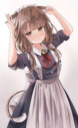 Rule 34 | 1girl, alternate costume, animal ear fluff, animal ears, apron, arms up, back bow, bad id, bad pixiv id, bell, black dress, blunt bangs, blush, bow, brown hair, cat ears, cat girl, cat tail, closed mouth, commentary request, cowboy shot, dress, enmaided, frilled apron, frills, gradient background, grey background, hair tie, highres, iino miko, jingle bell, kaguya-sama wa kokurasetai ~tensai-tachi no renai zunousen~, kemonomimi mode, long hair, looking at viewer, low twintails, maid, mariov, neck ribbon, orange eyes, red ribbon, ribbon, short sleeves, tail, twintails, white apron, white bow