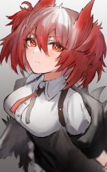 Rule 34 | 1girl, arknights, black jacket, black skirt, blush, breasts, closed mouth, collared shirt, fiammetta (arknights), grey background, hair between eyes, high-waist skirt, highres, horn/wood, jacket, large breasts, looking at viewer, off shoulder, open clothes, open jacket, red hair, shirt, short hair, simple background, skirt, solo, two side up, underbust, upper body, v-shaped eyebrows, white shirt