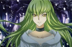 Rule 34 | 1girl, black choker, c.c., choker, code geass, collarbone, floating hair, forest, green hair, hair between eyes, kokuchi, long hair, looking at viewer, nature, outdoors, parted lips, solo, upper body, very long hair, yellow eyes