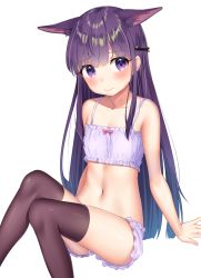 Rule 34 | 1girl, animal ear fluff, animal ears, bare arms, bare shoulders, blush, bow, bow bra, bra, brown thighhighs, closed mouth, collarbone, feet out of frame, highres, k mugura, kasumi (princess connect!), knees up, looking at viewer, navel, panties, princess connect!, purple bra, purple eyes, purple hair, purple panties, simple background, smile, solo, thighhighs, underwear, underwear only, white background