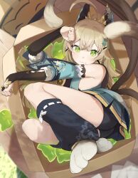 Rule 34 | 1girl, :3, absurdres, ahoge, animal ears, bare shoulders, bell, black shorts, box, cardboard box, cat feet, cat tail, coat, crossed bangs, detached sleeves, genshin impact, green eyes, hair ornament, hairclip, highres, in box, in container, kirara (genshin impact), lempika, long hair, looking at viewer, loose socks, multiple tails, nekomata, paw pose, pleated skirt, short shorts, shorts, skirt, sleeveless, sleeveless coat, socks, solo, tail, two tails