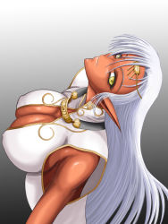 Rule 34 | artist request, breasts, circlet, cleavage, dark-skinned female, dark skin, elf, eyelashes, gradient background, huge breasts, long hair, looking at viewer, pirotess, pointy ears, record of lodoss war, solo, white hair, yellow eyes