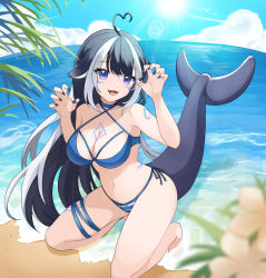 Rule 34 | 1girl, absurdres, ahoge, animal ears, arm tattoo, beach, belt collar, bikini, black hair, blue bikini, blue collar, blue nails, blue sky, breasts, cetacean tail, chest tattoo, claw pose, cleavage, cloud, collar, commentary, english commentary, facial tattoo, fangs, fins, fish tail, halterneck, heart, heart ahoge, heehee kim, highres, indie virtual youtuber, large breasts, leaf, leg tattoo, long hair, looking at viewer, multicolored hair, nail polish, open mouth, orca girl, purple eyes, sand, shylily, shylily (bikini), sky, streaked hair, sun, swimsuit, tail, tattoo, thigh strap, virtual youtuber, water, white hair