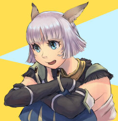 Rule 34 | 1girl, animal ears, adventurer (ff11), black gloves, blue eyes, blunt bangs, cactus41747280, cat ears, cat girl, crab, crossed arms, elbow gloves, eyelashes, facial mark, fang, final fantasy, final fantasy xi, gloves, grey hair, highres, mithra (ff11), open mouth, parted bangs, short hair, smile, solo, whisker markings, yellow pupils