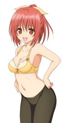 Rule 34 | 1girl, blush, bra, breasts, brown eyes, brown hair, cleavage, clothes pull, colorized, dressing, frills, highres, lingerie, long hair, mayoi neko overrun!, naruko kanae, navel, open mouth, pantyhose, pantyhose pull, ponytail, smile, solo, transparent background, underwear, yellow bra