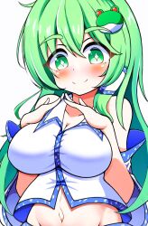 Rule 34 | + +, 1girl, bare shoulders, blush, breasts, cleavage, closed mouth, collared shirt, detached sleeves, frog hair ornament, green eyes, green hair, gyuta, hair ornament, highres, kochiya sanae, large breasts, long hair, navel, shirt, simple background, smile, touhou, upper body, white background, white shirt