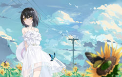 Rule 34 | 1girl, arms behind back, bare arms, bare shoulders, black hair, blue butterfly, blurry, blurry foreground, bug, butterfly, choker, cloud, collarbone, commentary request, day, dress, flower, frilled dress, frills, frown, ginklaga, hat, insect, original, outdoors, scenery, see-through, short hair, solo, standing, sundress, sunflower, unworn hat, unworn headwear, white dress, white hat, yellow butterfly, yellow eyes