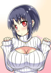 Rule 34 | 10s, 1girl, absurdres, black hair, blush, breasts, cleavage, highres, jewelry, kantai collection, large breasts, meme attire, necklace, open-chest sweater, red eyes, ribbed sweater, short hair, solo, sweater, takao (kancolle), turtleneck, yusuke isaki