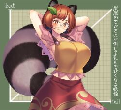 Rule 34 | 1girl, animal ears, armpits, arms behind head, arms up, breasts, brown eyes, brown hair, brown skirt, commentary request, english text, futatsuiwa mamizou, glasses, green background, grid, highres, large breasts, leaf, leaf on head, looking at viewer, navel, raccoon ears, raccoon girl, raccoon tail, round eyewear, shirt, short hair, skirt, smile, solo, tail, tanuki, tarmo, touhou, translation request