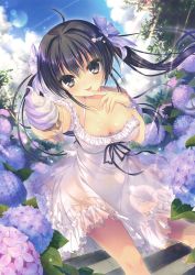 Rule 34 | 1girl, :p, absurdres, ahoge, bare legs, black eyes, black hair, black ribbon, blush, breasts, cleavage, cloud, cloudy sky, collarbone, cowboy shot, dappled sunlight, day, dress, feeding, finger to mouth, flower, food, frilled dress, frills, hair between eyes, hair ornament, highres, hydrangea, ice cream, ice cream cone, incoming food, leaning forward, lens flare, licking, licking finger, long hair, looking at viewer, medium breasts, outdoors, pov, pov feeding, ribbon, rubi-sama, sky, solo, stairs, standing, sundress, sunlight, tongue, tongue out, twintails