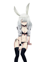 Rule 34 | 1girl, absurdres, animal ears, arknights, bikini, black bikini, black thighhighs, breasts, chinese commentary, cleavage, commentary request, cropped jacket, drawstring, feet out of frame, front-tie bikini top, front-tie top, frostnova (arknights), gluteal fold, grey eyes, grey jacket, groin, hair over one eye, highres, huizhiyin, jacket, long hair, looking at viewer, medium breasts, navel, open clothes, open jacket, rabbit ears, scar, scar on face, scar on nose, side-tie bikini bottom, silver hair, simple background, solo, stomach, swimsuit, thighhighs, thighs, white background, wristband