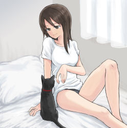 Rule 34 | 10s, 1girl, arm support, bed, bed sheet, bedroom, black cat, black panties, brown eyes, brown hair, casual, cat, closed mouth, commentary, curtains, girls und panzer, indoors, leaning back, leg up, long hair, looking at another, mika (girls und panzer), mutsu (layergreen), no headwear, no pants, on bed, panties, pillow, shirt, sitting, smile, solo, t-shirt, underwear, white shirt