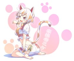 Rule 34 | 1girl, :d, animal ears, bad feet, barefoot, bell, between fingers, black collar, blush, bracelet, breasts, cat ears, cat tail, coin, collar, commentary request, crop top, fang, full body, goutokuji mike, hand up, holding, jewelry, jingle bell, looking at viewer, looking back, maneki-neko, medium breasts, midriff, multicolored hair, open mouth, paw pose, paw print, paw print background, puffy short sleeves, puffy sleeves, purple eyes, short hair, short sleeves, shorts, silver hair, simple background, smile, soles, solo, streaked hair, tail, tanasuke, toes, touhou, white background, white shorts