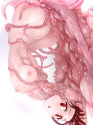 Rule 34 | 1girl, :o, ass, black hair, breasts, hana (yuta), highres, looking at viewer, medium breasts, monster girl, nipples, nude, open mouth, original, red eyes, shokushi yuu, short hair, solo, tentacle girl, tentacles, upper body, upside-down, white background