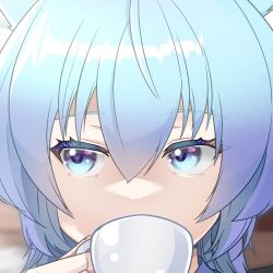 Rule 34 | 1girl, animal ears, blue eyes, blue hair, blurry, blurry background, cat ears, close-up, covered mouth, cup, drinking, eyelashes, hair between eyes, holding, holding cup, looking to the side, matsumoto-san, misskey.io, murakami-san (misskey.io), short hair, solo