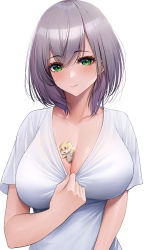Rule 34 | 1girl, absurdres, breasts, closed mouth, collarbone, commentary request, green eyes, grey hair, hamster, highres, hololive, laimer, shirogane noel, shirt, short hair, short sleeves, simple background, smile, solo, upper body, virtual youtuber, white background, white shirt