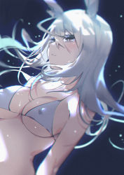 Rule 34 | 1girl, animal ears, arknights, bare shoulders, bikini, breasts, commentary, covered erect nipples, frostnova (arknights), grey bikini, grey eyes, hair between eyes, highres, long hair, medium breasts, parted lips, rabbit ears, silver hair, solo, stomach, swimsuit, upper body, xion32