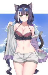 Rule 34 | 1girl, animal ear fluff, animal ears, arind yudha, bikini, bikini top only, black bikini, blue sky, blush, breasts, cat ears, closed mouth, cloud, collarbone, commentary request, day, eyewear on head, green eyes, highres, karyl (princess connect!), karyl (summer) (princess connect!), long hair, looking at viewer, low twintails, medium breasts, navel, princess connect!, shorts, sky, solo, sunglasses, swimsuit, twintails, white shorts