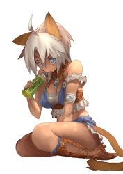 Rule 34 | 00s, 1girl, ahoge, animal ears, bad id, bad pixiv id, blue eyes, bottle, breasts, cat ears, cat girl, cat tail, drink, final fantasy, final fantasy xi, mithra (ff11), simple background, solo, suzuno (bookshelf), tail, thighs, white hair