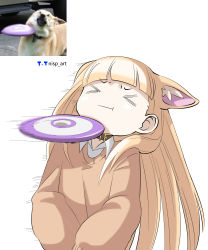 Rule 34 | &gt; &lt;, 1girl, :t, absurdres, animal ear fluff, animal ears, artist logo, artist name, blonde hair, blunt bangs, brown collar, closed eyes, collar, collared shirt, commentary, dog, dog ears, dog girl, english commentary, frisbee, hair behind ear, highres, humanization, long hair, long sleeves, meme, motion blur, motion lines, nisp art, orange sweater, original, photo-referenced, photo inset, recoil, reference photo, shirt, simple background, sweater, upper body, v-shaped eyebrows, white background, white shirt, wide sleeves
