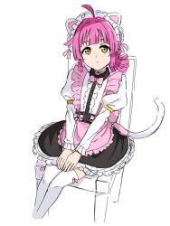 Rule 34 | 1girl, ahoge, animal ears, apron, black skirt, blunt bangs, blunt ends, bow, bowtie, cat ears, cat tail, chair, closed mouth, commentary request, expressionless, fake animal ears, fake tail, flat chest, frilled shirt, frills, hands on own thighs, highres, juliet sleeves, long sleeves, looking at viewer, love live!, love live! nijigasaki high school idol club, maid, maid headdress, medium hair, pink apron, pink bow, pink bowtie, pink hair, puffy sleeves, shirt, sidelocks, sitting, skirt, solo, tail, tennoji rina, thighhighs, waist apron, white background, white shirt, white thighhighs, yanekawara, yellow eyes