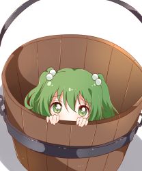 Rule 34 | 1girl, basket, green eyes, green hair, hair between eyes, hair bobbles, hair ornament, hands up, kisume, looking at viewer, looking up, sasaki sakiko, shadow, short hair, short twintails, simple background, sitting, solo, touhou, twintails, white background
