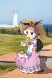 Rule 34 | 1girl, absurdres, alternate costume, animal ears, black hair, blue dress, blush, bow, brown eyes, collar, donkey (kemono friends), donkey ears, donkey girl, donkey tail, dress, eating, food, food in mouth, frilled collar, frilled sleeves, frills, grey hair, hair bow, hat, highres, iwa (iwafish), kemono friends, long dress, long sleeves, multicolored hair, pink dress, ponytail, puffy sleeves, sandwich, short hair, sidelocks, sitting, solo, sun hat, white dress, white hair