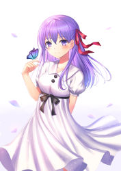 Rule 34 | 1girl, animal, arm behind back, bad id, bad pixiv id, black bow, bow, breasts, bug, butterfly, butterfly on hand, closed mouth, collared shirt, commentary request, dress, fate/stay night, fate (series), gradient background, hair between eyes, hair ribbon, hand up, heaven&#039;s feel, highres, insect, matou sakura, official alternate costume, petals, puffy short sleeves, puffy sleeves, purple background, purple eyes, purple hair, red ribbon, ribbon, seungju lee, shirt, short sleeves, small breasts, smile, solo, white background, white dress