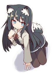 Rule 34 | 1girl, absurdres, animal ear fluff, animal ears, asashio (kancolle), asashio kai ni (kancolle), black dress, black footwear, black hair, blue eyes, blush, brown pantyhose, closed mouth, collared jacket, commentary request, dress, full body, grey jacket, highres, ichi (ichi.colors), jacket, kantai collection, kemonomimi mode, long hair, long sleeves, looking at viewer, neck ribbon, pantyhose, pinafore dress, red ribbon, ribbon, school uniform, shadow, shoes, sleeveless, sleeveless dress, sleeves past wrists, smile, solo, tail, very long hair, white background