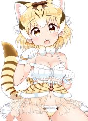 Rule 34 | 10s, 1girl, animal ears, arato asato, bare shoulders, blonde hair, bow, bowtie, bra, breasts, cat ears, cat tail, commentary request, extra ears, fangs, highres, kemono friends, lingerie, looking at viewer, medium breasts, navel, open mouth, orange eyes, panties, paw pose, sand cat (kemono friends), sand cat print, see-through, short hair, solo, striped tail, tail, underwear, white background, white bra