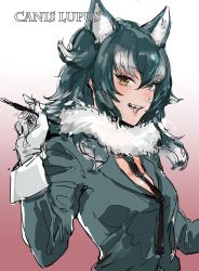 Rule 34 | 10s, 1girl, animal ears, black necktie, blue eyes, breasts, coat, english text, fangs, gloves, grey hair, grey wolf (kemono friends), heterochromia, highres, kemono friends, long hair, long sleeves, looking at viewer, medium breasts, multicolored hair, necktie, open mouth, osakana (denpa yun&#039;yun), pen, smile, solo, tail, teeth, text focus, two-tone hair, upper body, white gloves, white hair, wolf ears, wolf girl, wolf tail, yellow eyes