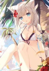 Rule 34 | 1girl, :o, animal ear fluff, animal ears, bare shoulders, bikini, bikini top only, black bow, blue eyes, blue sky, blush, bow, braid, breasts, cloud, cloudy sky, collarbone, dated, day, feet out of frame, flower, frilled bikini, frilled bikini top, frills, front-tie bikini top, front-tie top, grey hair, hair bow, hair flower, hair ornament, highres, hoshi (snacherubi), knees up, long hair, looking at viewer, original, outdoors, palm tree, parted lips, petals, red flower, side-tie bikini bottom, signature, sitting, sky, small breasts, solo, swimsuit, tail, tree, twin braids, white bikini, yellow flower