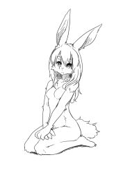 Rule 34 | 1girl, :&lt;, absurdres, animal hands, animal nose, barefoot, body fur, breasts, closed mouth, collarbone, expressionless, female focus, full body, furry, furry female, greyscale, hair between eyes, highres, kame (3t), legs, legs together, long hair, looking at viewer, monochrome, no nipples, original, own hands together, rabbit ears, rabbit girl, rabbit tail, seiza, sidelocks, simple background, sitting, sketch, small breasts, solo, split mouth, thighs, v arms, white background