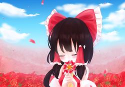 Rule 34 | 1girl, ascot, bare shoulders, black hair, blurry, blush, bow, closed eyes, cloud, cloudy sky, commentary, depth of field, detached sleeves, flower, hair bow, hair tubes, hakurei reimu, large bow, long hair, name connection, object namesake, petals, reimu (flower), reimu mikoro, sky, smelling flower, solo, tears, touhou, yellow ascot