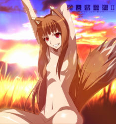 Rule 34 | 00s, 1girl, animal ears, armpits, arms up, bad id, bad pixiv id, brown hair, censored, convenient censoring, grin, hair censor, hair over breasts, holo, jet yowatari, long hair, nude, pink eyes, sitting, sky, smile, solo, spice and wolf, tail, wolf ears, wolf tail