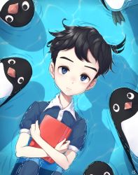 Rule 34 | 10s, 1boy, aoyama-kun (penguin highway), bird, black hair, blue eyes, blue shirt, book, child, commentary request, floating, frown, highres, holding, holding book, male focus, pengpeng (underscore), penguin, penguin highway, shadow, shirt, upper body, water
